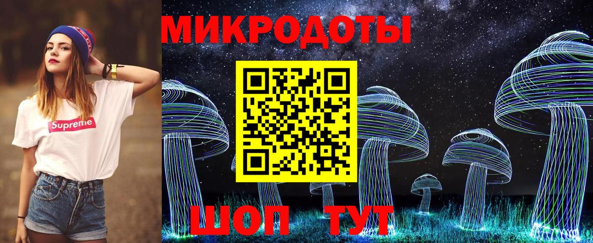 Псилоцибиновые грибы Psilocybe  Вход с VPN  Тайшет  где купить наркоту  Галлюциногенные грибы Cubensis 
